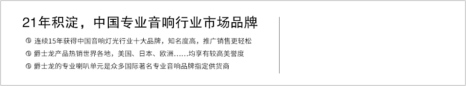 21年积淀，中国专业音响行业市场品牌